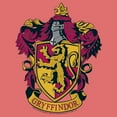thumbnail image 2 of Boy's Harry Potter Gryffindor Ornate Crest Performance Graphic T-Shirt, 2 of 4