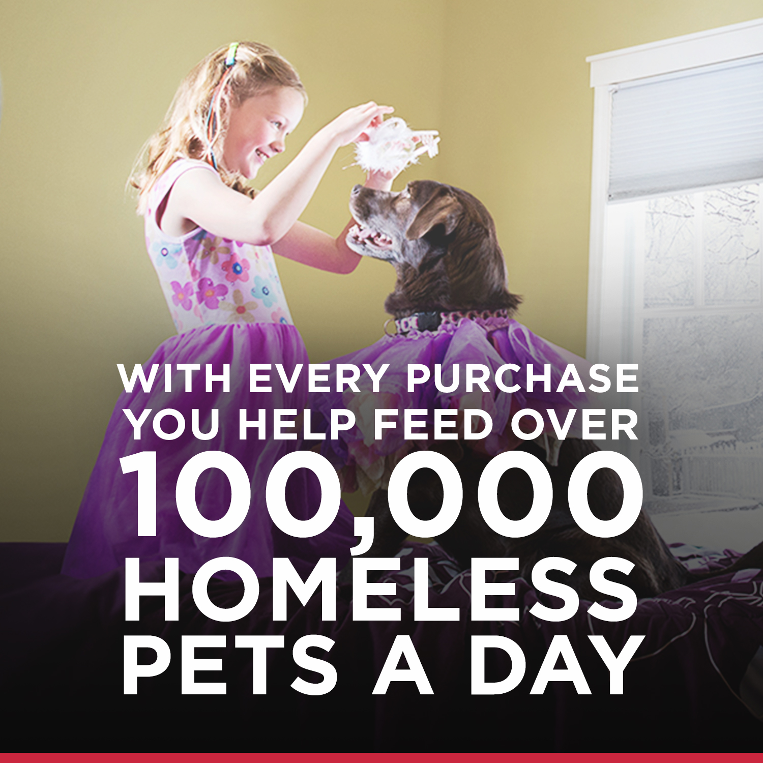 hills natural balance