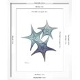 thumbnail image 5 of Art.com Starfish Ombre 2 Art Print by Albert Koetsier, White Frame Wall Art, 17" x 21", 5 of 5
