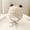 Beige, variant on Yoyauz Baby Knit Winter Cap Baby Newborn Toddler Autumn Cute Earmuff Cotton Lined Beanie Suitable for Boys and Girls