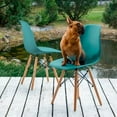 thumbnail image 1 of Heavenly Collection Navy Green Wood Chair SET OF 2, 1 of 8
