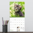 thumbnail image 4 of TF Publishing 2026 Kittens Mini Calendar - Gloss Paper, 4 of 5