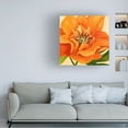 thumbnail image 3 of Annie Warren 'Copper Petals II' Canvas Art, 3 of 3