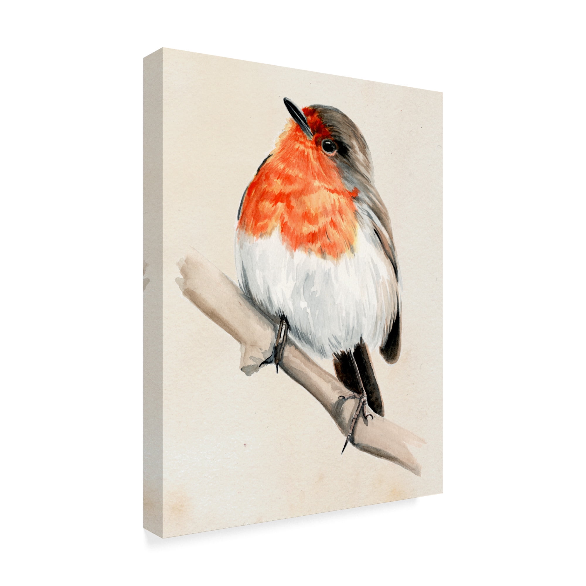 Trademark Fine Art 'Little Bird on Branch IV' Canvas Art by Jennifer Paxton Parker
