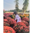 thumbnail image 2 of Crimson Whisper Hydrangeas Baby Butter Bamboo Footies 18-24M, 2 of 2