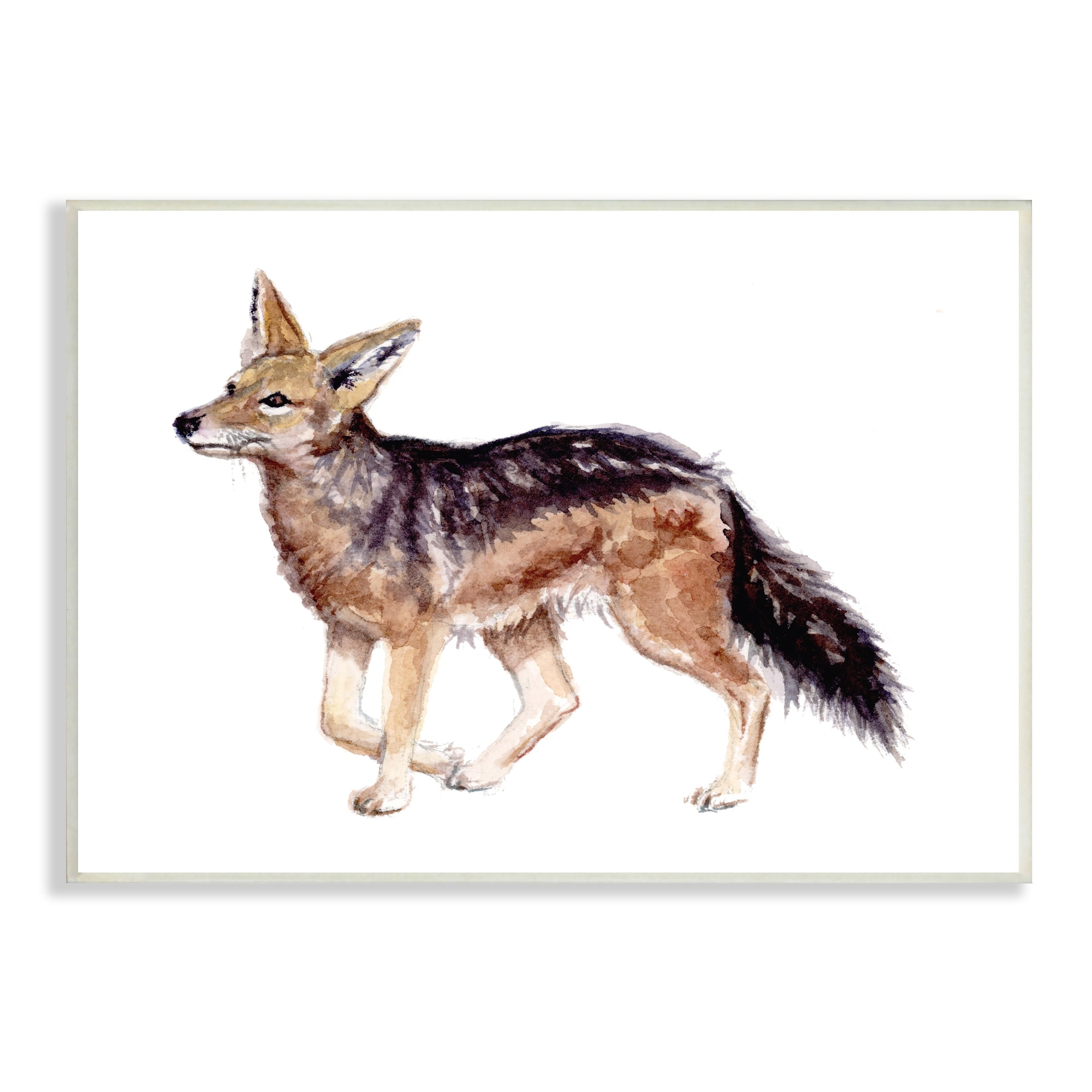 Stupell Industries Wild Jackal Watercolor Portrait Nursery Children's Animal, 15 x 10,Design by Fox Hollow Studios