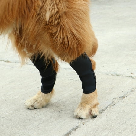 - Dog Knee Brace For Torn Acl Hind Back Leg Dog Canine Protector Rear Leg Hock Joint Wrap Protects Compression Sleeves For Injury And Sprain Protection