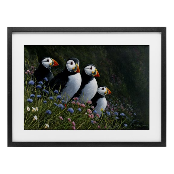 Stupell Industries Traditional Puffins & Wild Flowers Black Framed Print Under Glass, 20 x 14, by Jeremy Paul