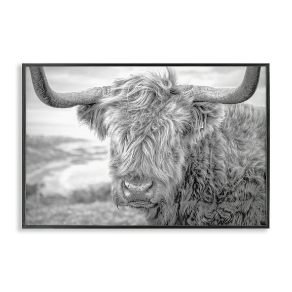 Stupell Industries Close Up Fuzzy Cattle Animals & Insects Photography Black Framed Art Print Wall Art, 18 x 12