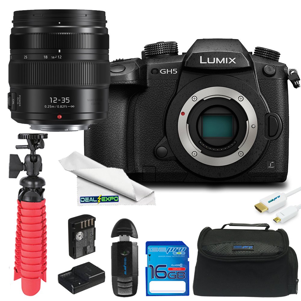 Panasonic Lumix DCGH5 Mirrorless Micro Four Thirds Digital Camera + 12