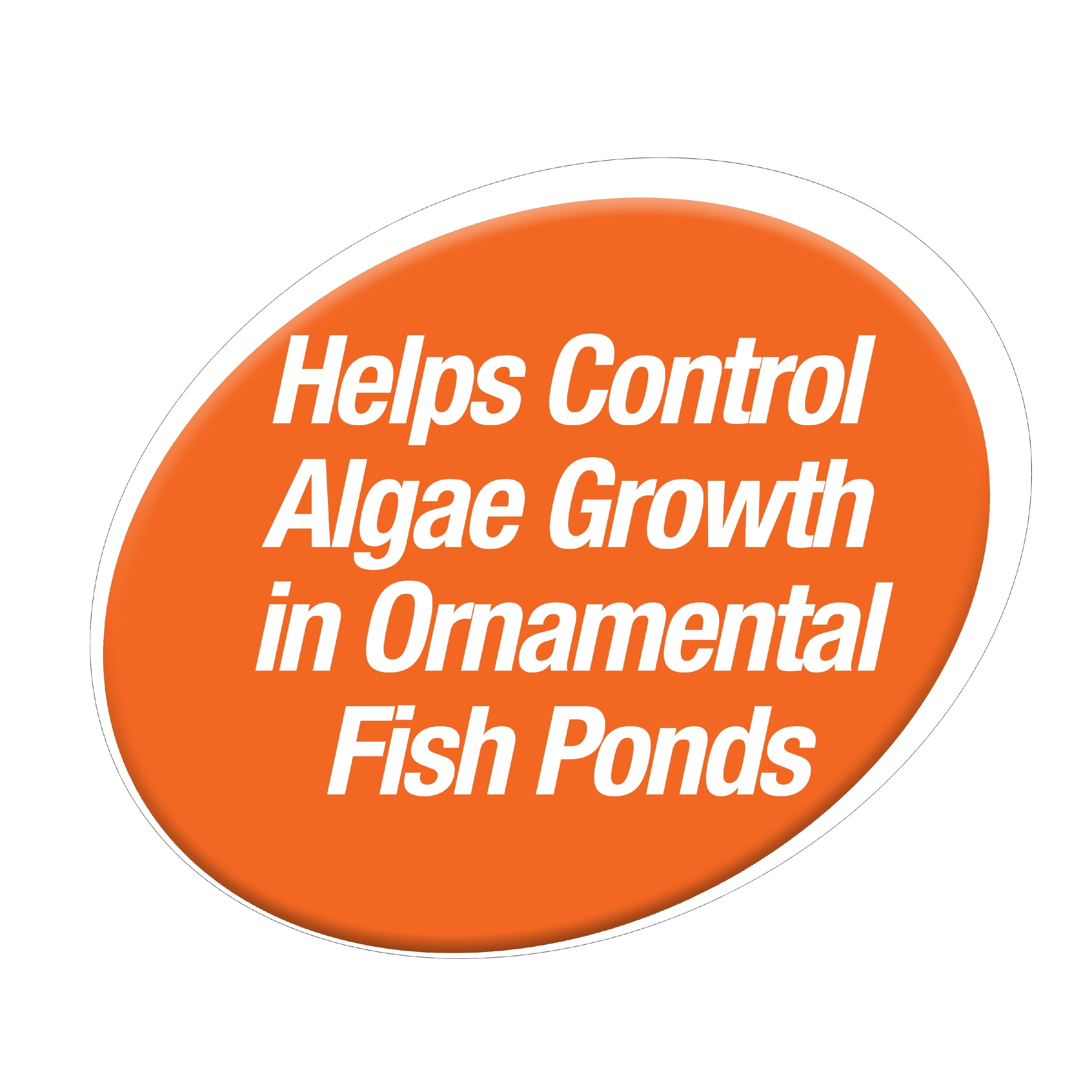TetraPond Pond Block, Helps Control Algae Growth In Ornamental Fish Ponds, 50 Count