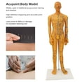 thumbnail image 3 of Acupuncture Model, Acupoint Body Model Sturdy Base Man 53cm  for Teachers for Practice, 3 of 7