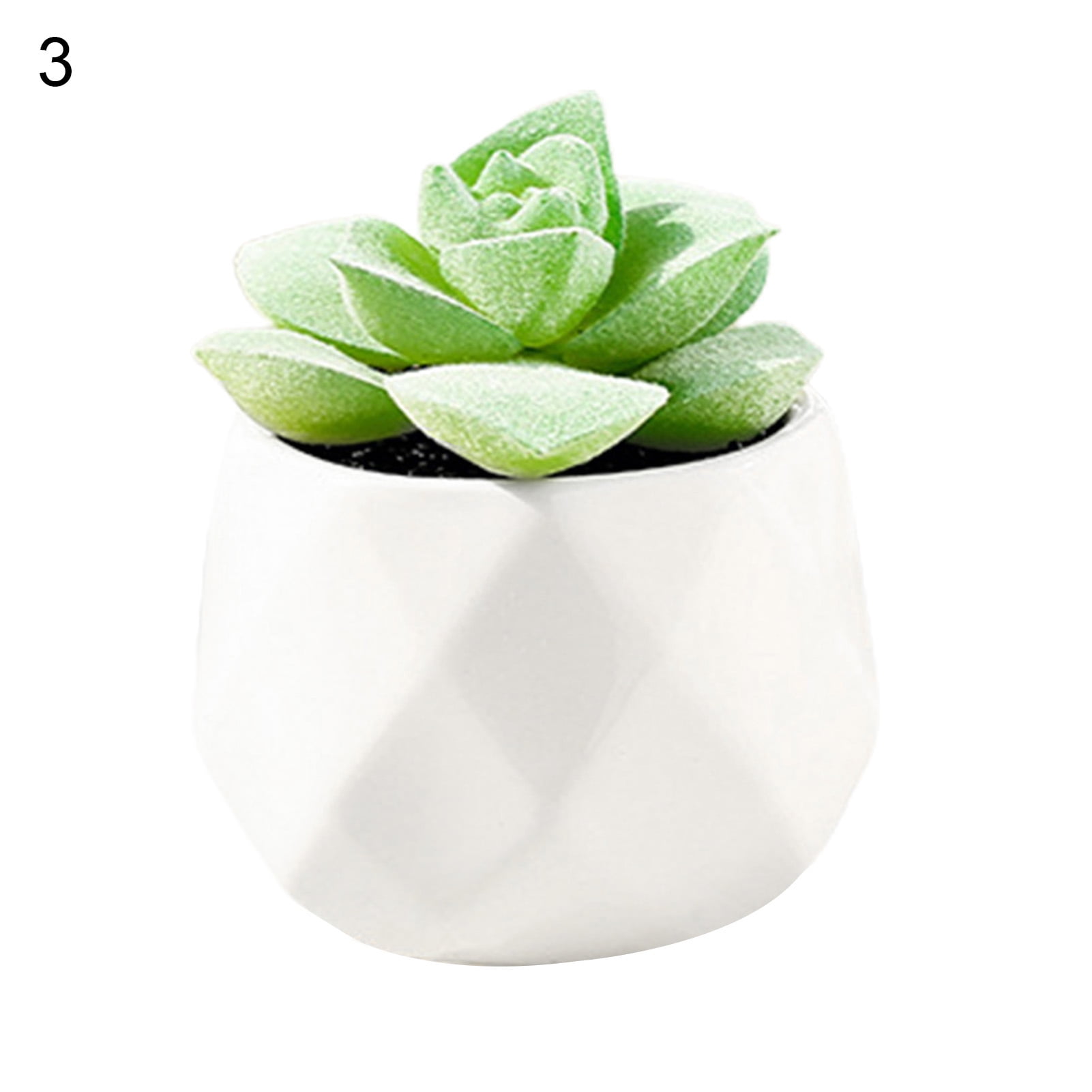 Mini Artificial Succulent Plants Decorative Potted Desert Plants in