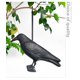 thumbnail image 4 of Cuervo negro, mata palomas, mata pájaros de plástico, control natural de plagas, protección contra pájaros molestos, 2, 4 of 5
