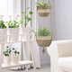 thumbnail image 3 of La Jol & iacute;e Muse, jardinera para colgar en exteriores, macetas de flores de pasto de mar natural, Beige2pcs Feliz Sencillez, 3 of 4