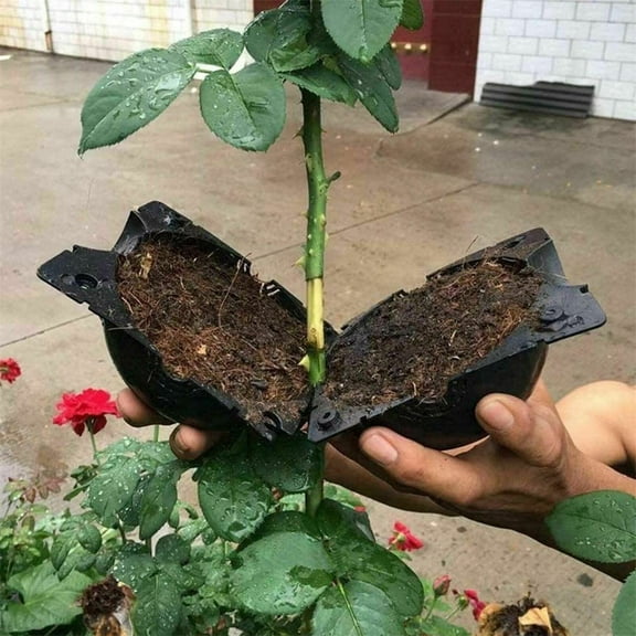 Reusable Air Layering Propagation Ball Plant Rooting Device High Pressure Graft Box with Safety Locks Transparent for Indoor Outdoor Garden Roses Climbers Trees Fruit Bushes Hard to Root