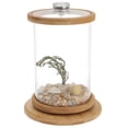 thumbnail image 1 of BRIGHTFUFU Desktop Small Fish Tank Hydroponic Planter Green Office Accessory 1 Set, 1 of 6