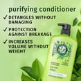 thumbnail image 2 of Herbal Essences Purifying Conditioner, Tea Tree, 29.2 fl oz, 2 of 11