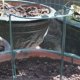 thumbnail image 4 of unbranded 4Ud Soporte Para Plantas De Jardín Marco Resistente Para Y Trepadoras, 4 of 8