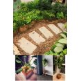 thumbnail image 2 of Jardinería para el hogar Flores en macetas Cultivo de vegetales Siembra Suelo en maceta mediano Decoración de superficies a prueba de hierba y polvo Coco rallado Nido de pájaro Nido de pájaro Material, 2 of 5