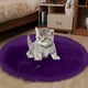 thumbnail image 5 of RKSTN Cat Bed Pet Electric Blanket Heating Pad Constant Temperature Waterproof Anti-Scratch Anti-Leakage Dog Cat Special Small Heater Purple, 5 of 6