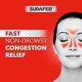 thumbnail image 3 of Sudafed PE Sinus Pressure + Pain Relief Decongestant Tablets, 24 Count, 3 of 7