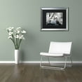 thumbnail image 2 of Trademark Fine Art "White Calm" Canvas Art by Philippe Hugonnard, Black Matte, Silver Frame, 2 of 3