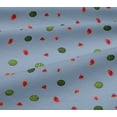 thumbnail image 5 of oneOone Viscose Jersey Fabric Watermelon Fruit Print Fabric BTY 60 Inch Wide, 5 of 5