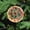 pattern-2, variant on Ornament Funny Food Ceramic Double Sided Tree Xmas Ornament Funny Food Pizza Realistic Print Christmas Tree Decoration Indoor Outdoor Yard Holiday Present