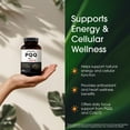 thumbnail image 6 of NatureBell PQQ with CoQ10 - 240 Capsules - 40mg Active PQQ with 10mg Coenzyme Q10 - Cellular Energy & Cognitive Function Support - Antioxidant Nutrients for Heart & Brain Health - 120 Servings, 6 of 8
