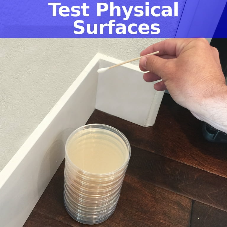 AMATEST - DIY Mold Detector for Home - Comprehensive Air and Surface Mold  Test Kit with Expert Analysis and Lab Fees Included - Reliable Detection  for