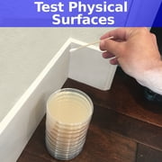 Air Mold Test Kit - Evviva Sciences - 5 Simple Mold Detection Tests - Optional Lab Analysis - Test HVAC System, Room Air, Home Surfaces - Includes Detailed Mold ID Guide