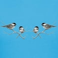 thumbnail image 3 of CafePress - Chickadee Song Bird T Shirt - Women's Traditional Fit Dark T-Shirt, 3 of 4