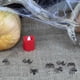 thumbnail image 4 of Decoración del hogar, decoración de la habitación, decoración de la pared 50 piezas decoraciones de Halloween araña fantasma festival accesorios suministros de fiesta juguetes de truco araña negra, 4 of 9