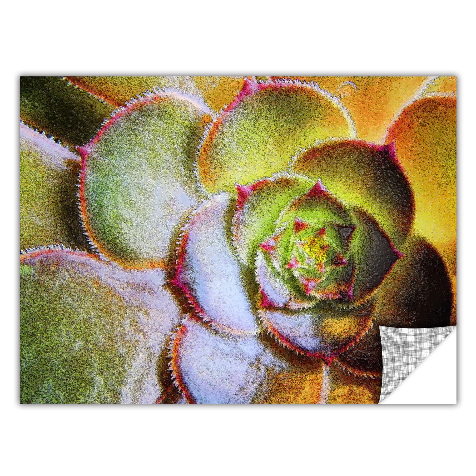 ArtWall In The Escalante Removable Wall Art by Dean Uhlinger 24 by 24-Inch