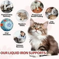 thumbnail image 3 of Liquid Iron Supplements for Cats and Kittens - with Folate and B12 – Supplements Anemia, Promotes Blood Health, Oxygen Supply and Blood Cell Formation – Increase Low Energy Levels – Lethargy - 2 oz, 3 of 10