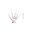 White, variant on A Pair Halloween Articulated Fingers,Halloween Fingers With Fingernails Wearable Horrific Finger Extension Party Supplies Cosplay Prop Witch Ghost Gloves Claws Extender Skeleton Bone Claw Hand Finger