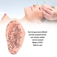 thumbnail image 3 of Ear Acupuncture Model, Learning Ear Acupuncture Model Stimulation Ergonomic Silicone  for Home, 3 of 7