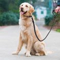 thumbnail image 2 of Reflective Dog Slip Collar for Running Walking Hiking, Durable Choke Leash P-Leash, Sponge Handle, 2 of 8