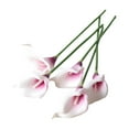 thumbnail image 1 of Décorations d'Halloween Extérieures 10 Pcs Mini Fleur Calla Lily Fleur de Simulation Décoration Maison Accessoires de Photographie, 1 of 5