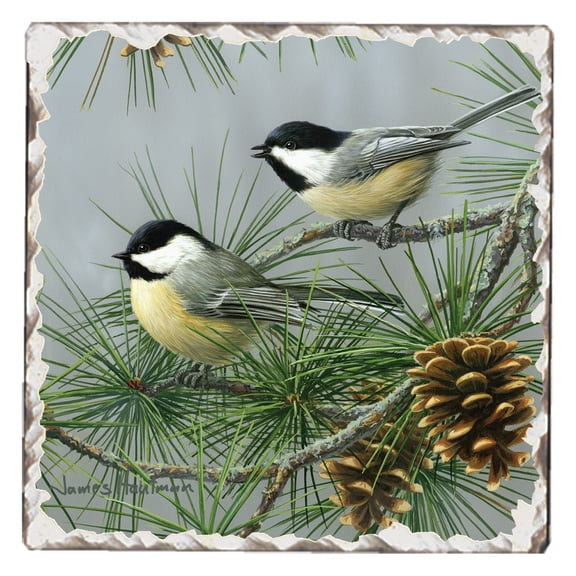 Absorbent Stone Tumbled Tile Coasters, Chickadees #2, Set of 4