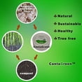 thumbnail image 5 of Platos de postre compostables CantaGreen, 500 unidades, 15 cm, bagazo, 5 of 5