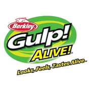Berkley Gulp! Alive! Leech Fishing Bait, Black, 1in | 3cm