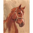 thumbnail image 2 of Green, Jacob 12x14 White Modern Wood Framed Museum Art Print Titled - Thoroughbred II, 2 of 4