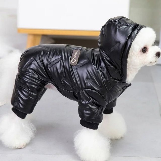 Warm Dog Clothes Winter Puppy Pet Coat Jacket For Small Medium Dogs Thicken Waterproof Yorkies Pets Clothing Hoodies Chihuahua ShopWise Round