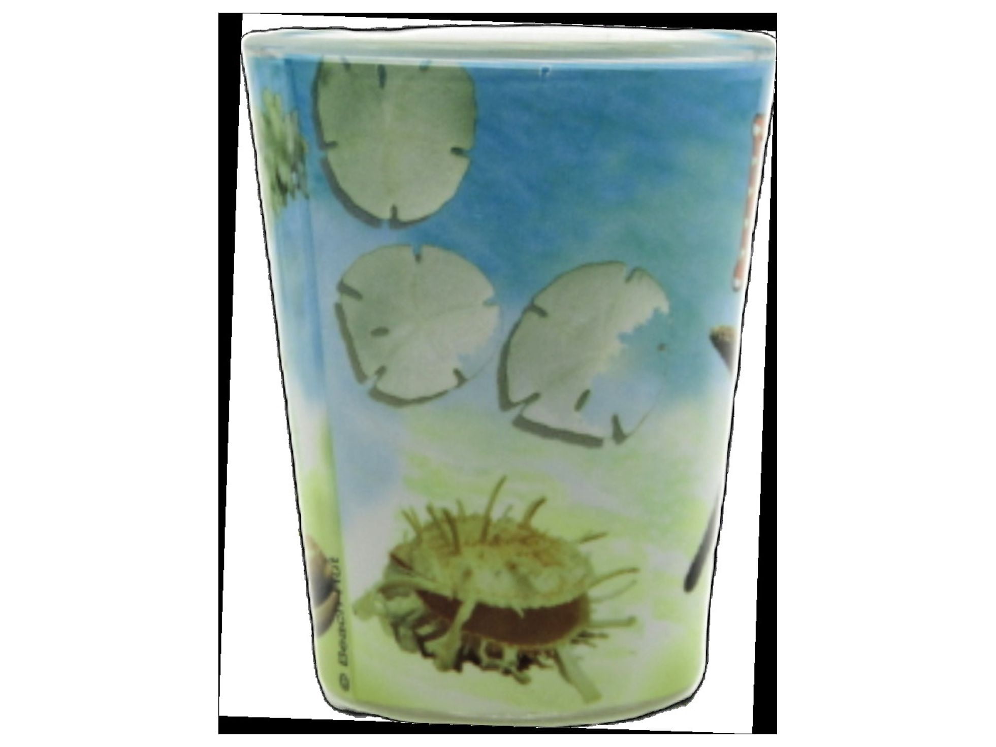 Shot Glass Florida Starfish 1 Count Beach Hut Inc. Brand Souvenirs