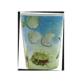 thumbnail image 5 of Shot Glass Florida Starfish 1 Count Beach Hut Inc. Brand Souvenirs, 5 of 5