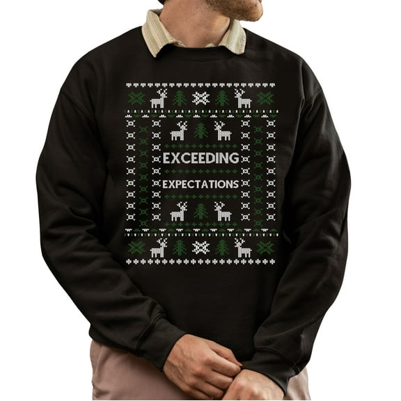Funny Ugly Xmas Sweater, Funny Christmas Sweatshirt, Exceeding Expectations Ugly Christmas Sweater, Xmas Sweater