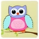 thumbnail image 2 of Wooden puzzle early childhood education intellectual baby building blocks three-dimensional children's toys girls boys 1-2-3-6 years old（owl）, 2 of 4