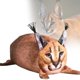 thumbnail image 1 of Cartoon Cat Plush Toy, Adorable and Soft, Lumbar Pillow, Ideal as a Gift for Kids and Fans, 1 of 3